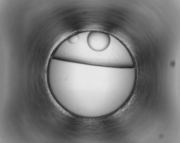 X0000098040949200804181252