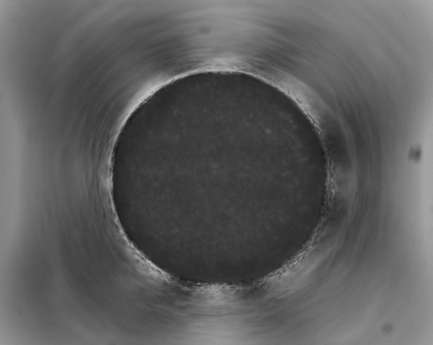 X0000098040950200804181252