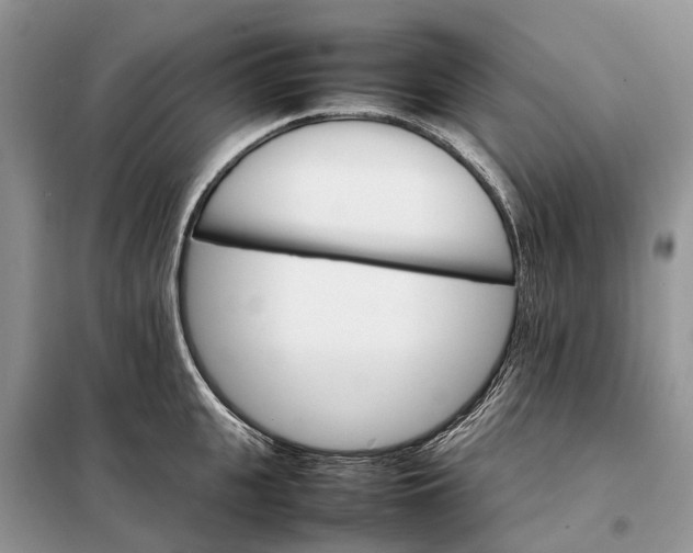 X0000098040951200804181252