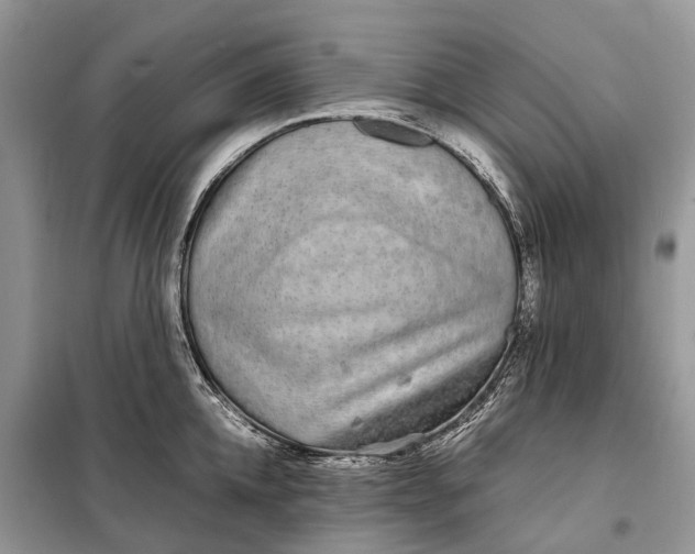 X0000098040952200804181253