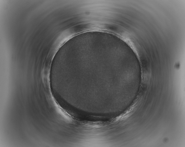 X0000098040954200804181253