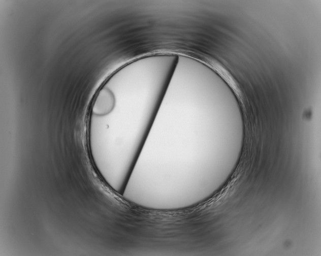 X0000098040955200804181253