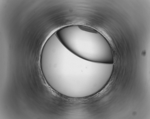 X0000098040956200804181253