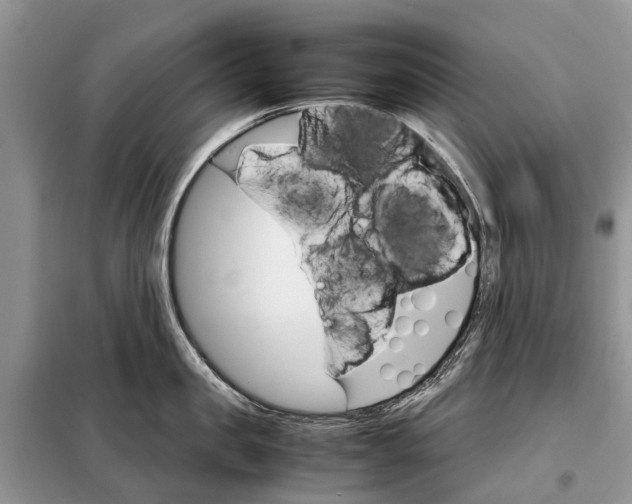 X0000098040957200804181253