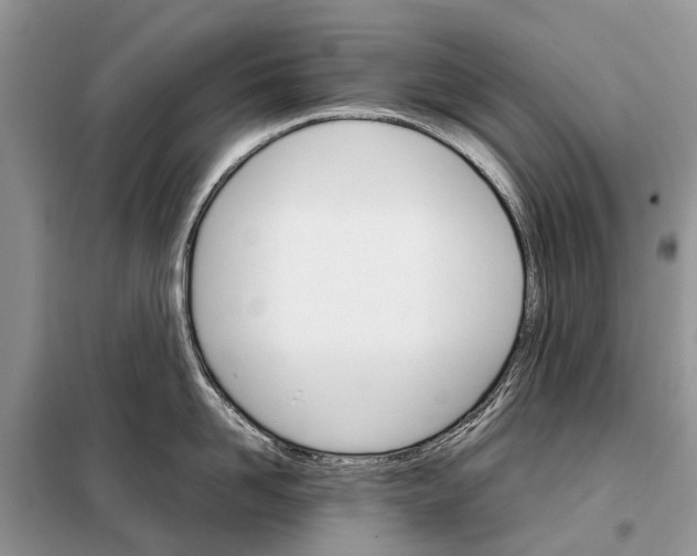 X0000098040958200804181253