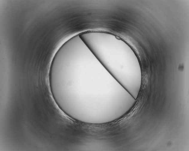 X0000098040959200804181253