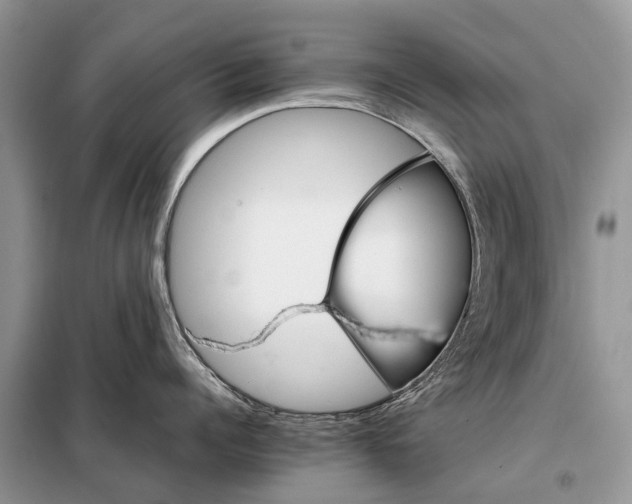 X0000098040960200804181253