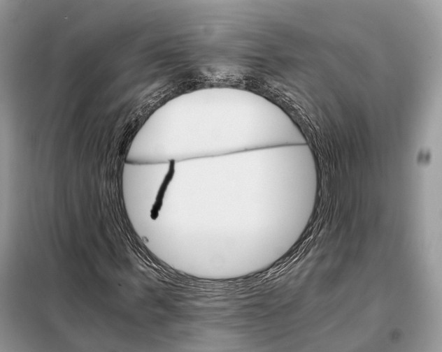 X0000098040963200804181252