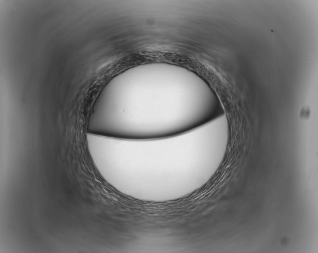 X0000098040965200804181252