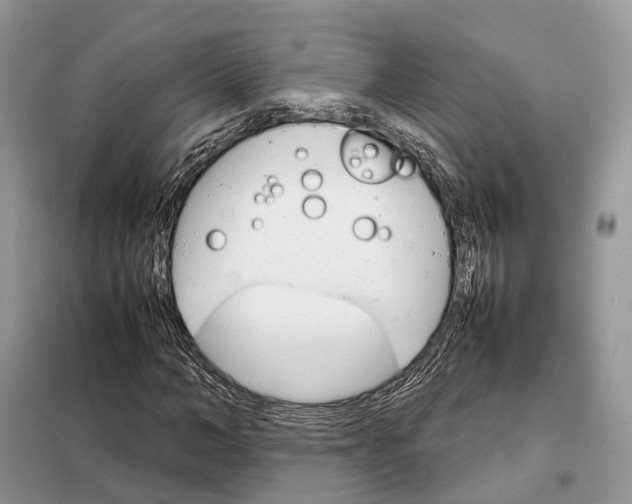 X0000098040966200804181252