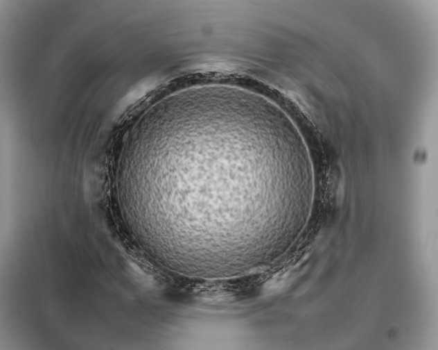 X0000098040967200804181252