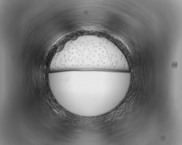 X0000098040968200804181252