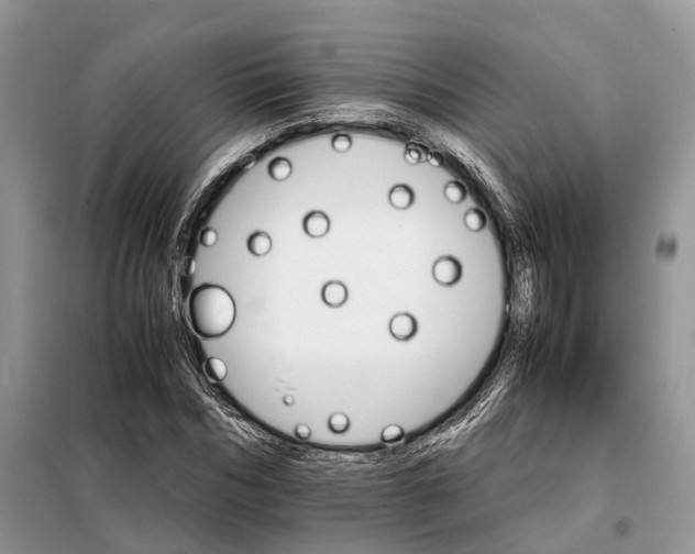 X0000098040970200804181251