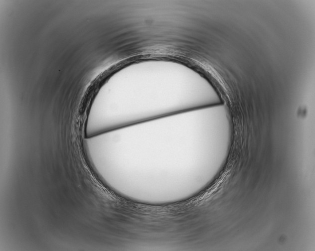 X0000098040971200804181251