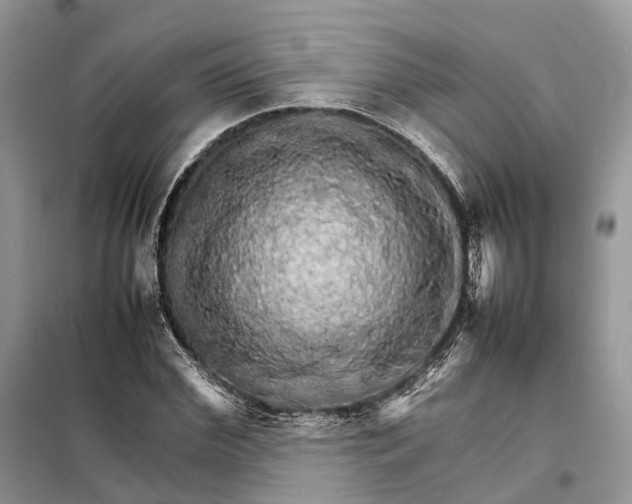 X0000098040972200804181251