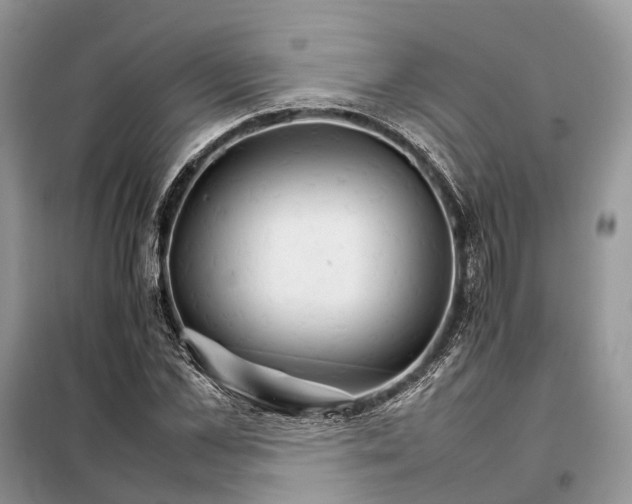 X0000098040973200804181251