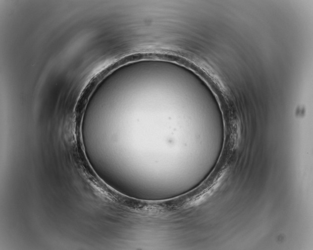 X0000098040974200804181251