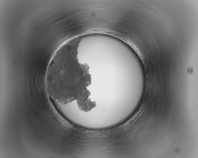 X0000098040976200804181251