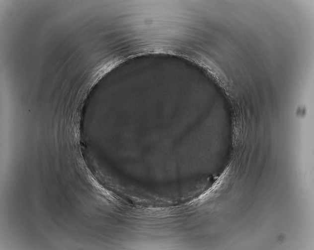 X0000098040977200804181251