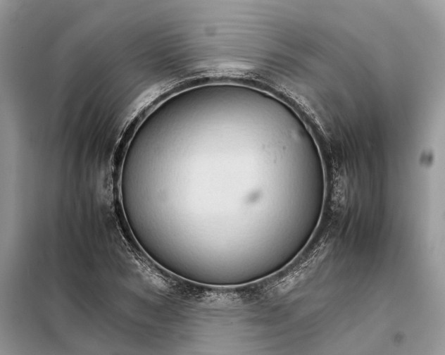 X0000098040978200804181251