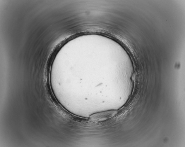 X0000098040979200804181251