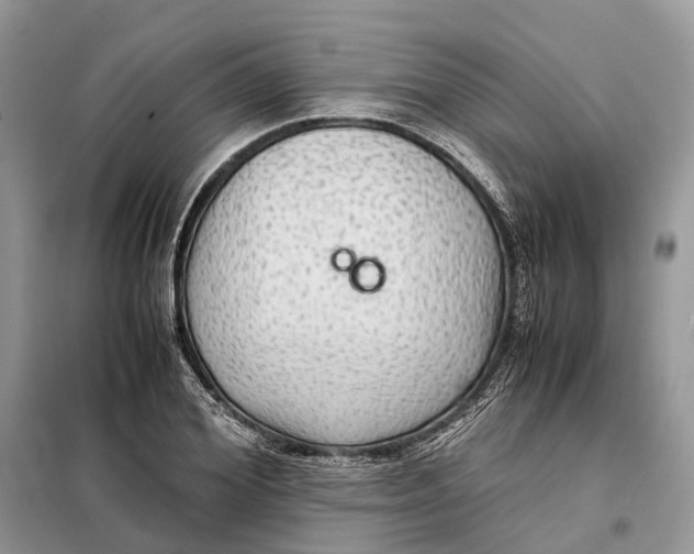 X0000098040980200804181251