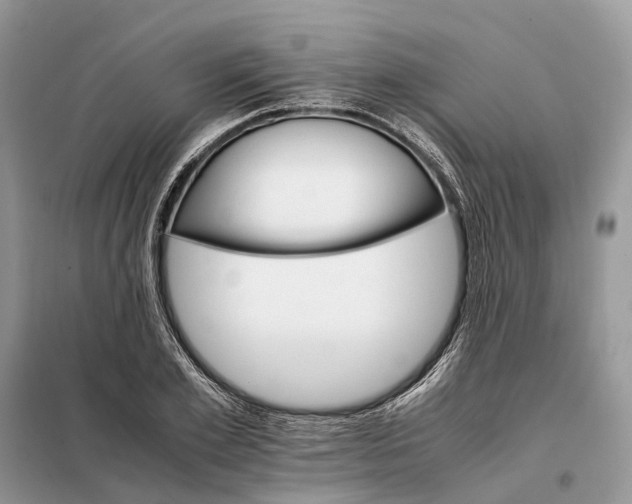 X0000098040981200804181251