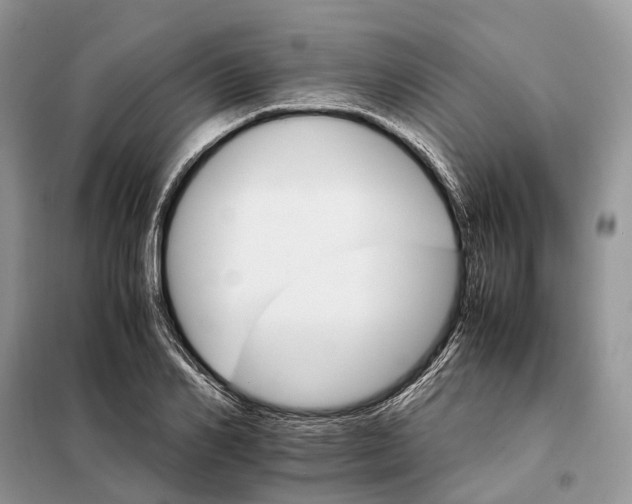 X0000098040982200804181251