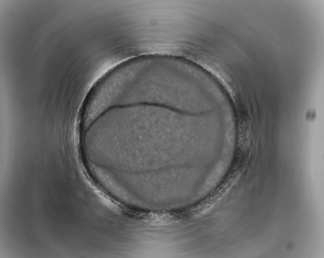 X0000098040983200804181251