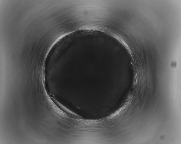 X0000098040984200804181251