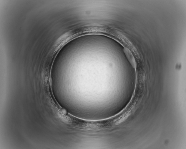 X0000098040985200804181251