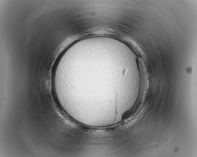 X0000098040986200804181251