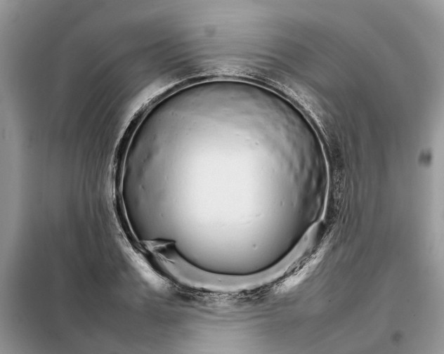 X0000098040987200804181251