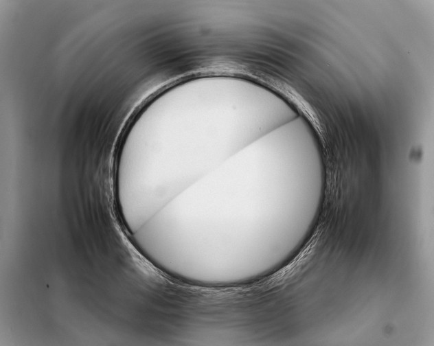 X0000098040988200804181251