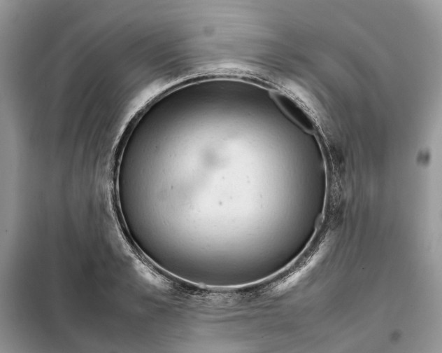 X0000098040989200804181251