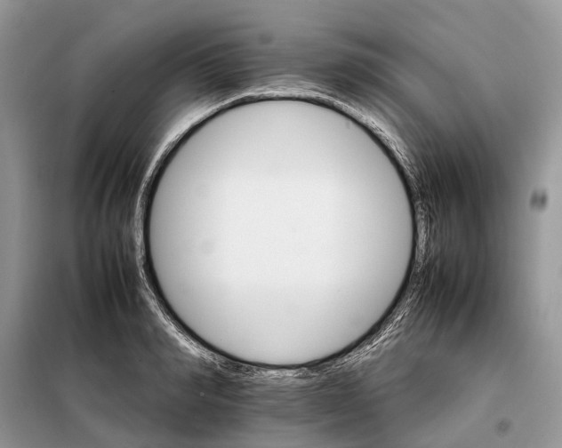 X0000098040990200804181251