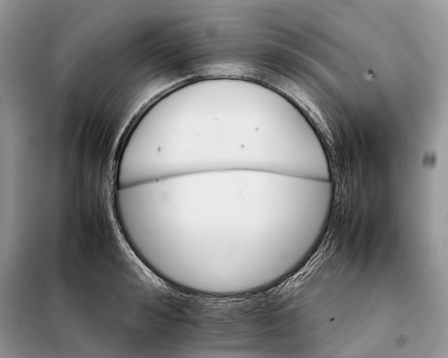 X0000098040992200804181251