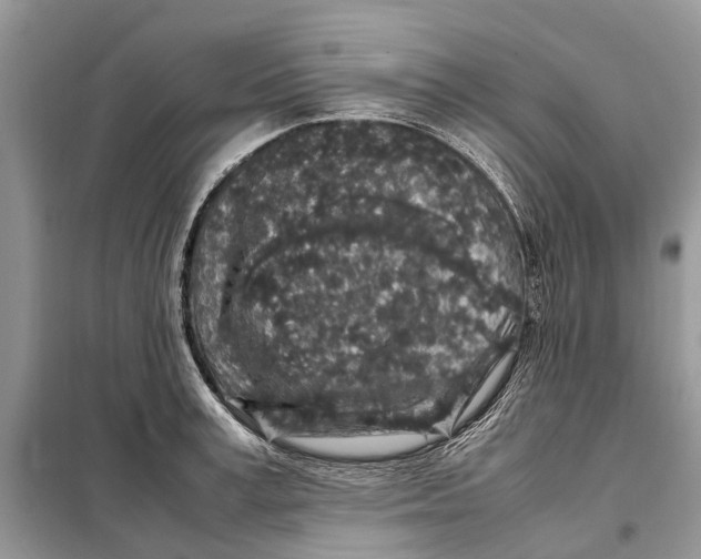 X0000098040995200804181251