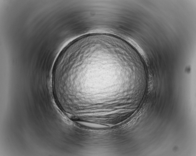 X0000098040996200804181251