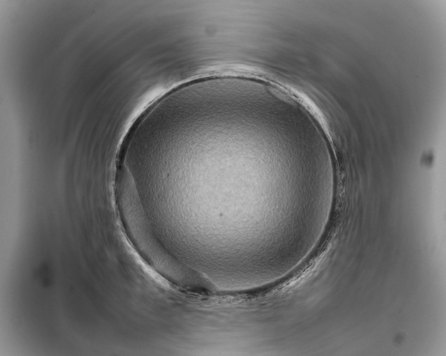 X0000098040997200804181251