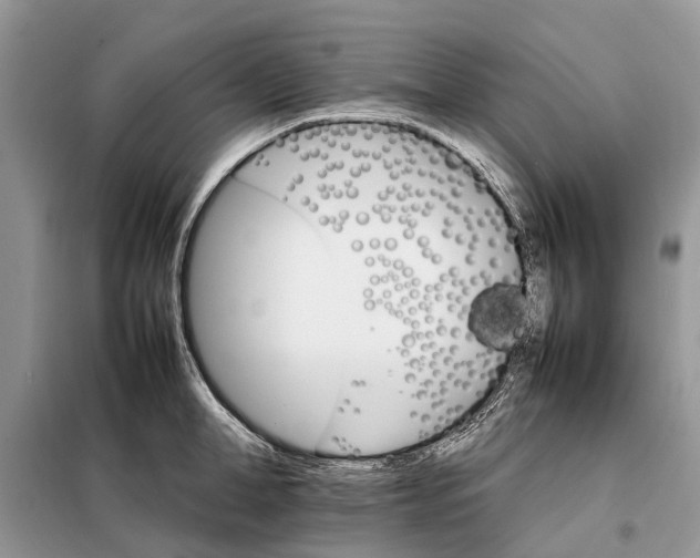 X0000098040998200804181251