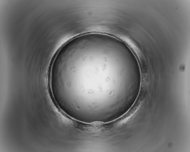 X0000098040999200804181251