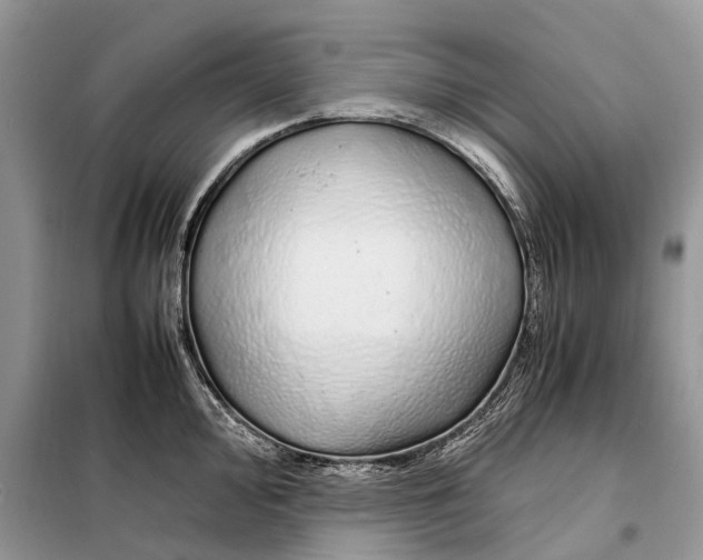 X0000098041000200804181251