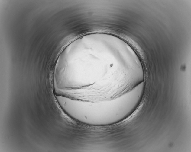 X0000098041001200804181251