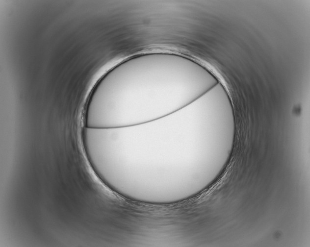 X0000098041003200804181251