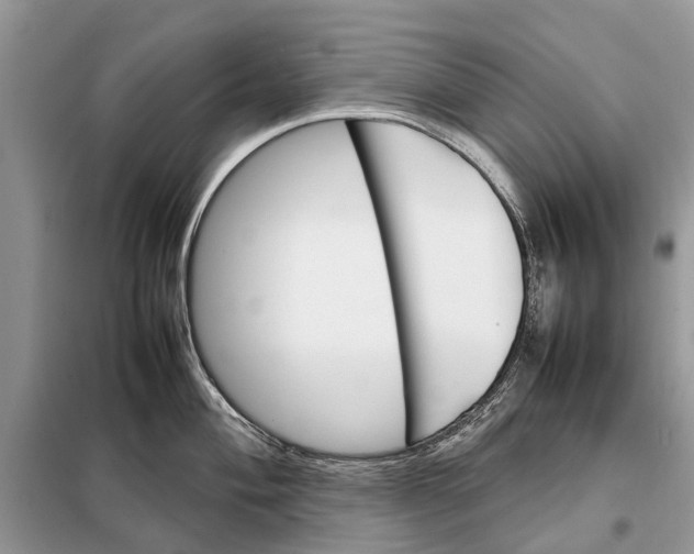 X0000098041004200804181251