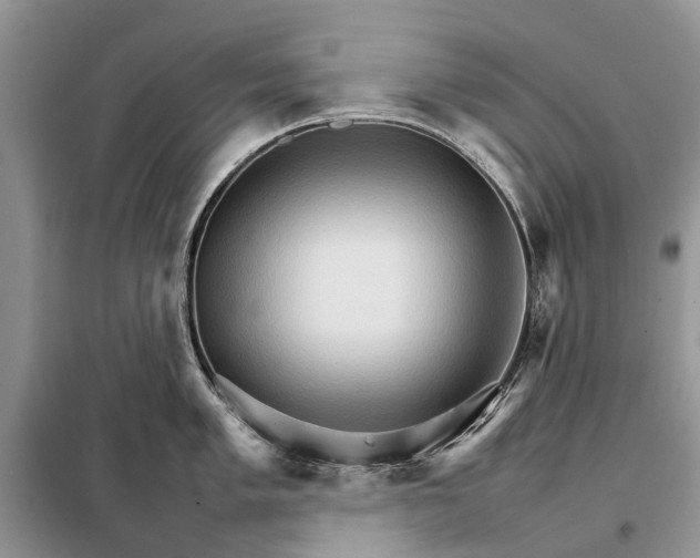 X0000098041005200804181251