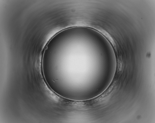 X0000098041006200804181251