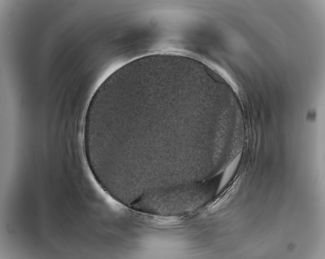 X0000098041007200804181251