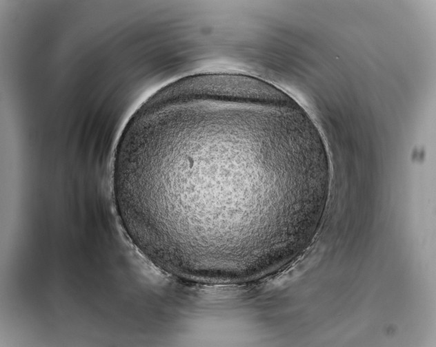 X0000098041008200804181251